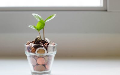 Fenntartható finanszírozás III – Zöld pénzügyek napjainkban