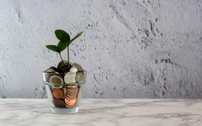 Fenntartható finanszírozás I – Kezdetek