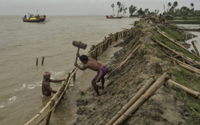 UN General Assembly Endorses the “Climate Obligations” Defined by the World’s Highest Court