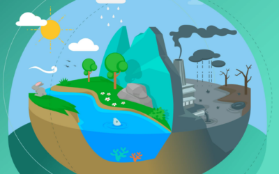 Turning Crisis into Opportunity for Hungarian Industry: Circularity and Bioeconomy