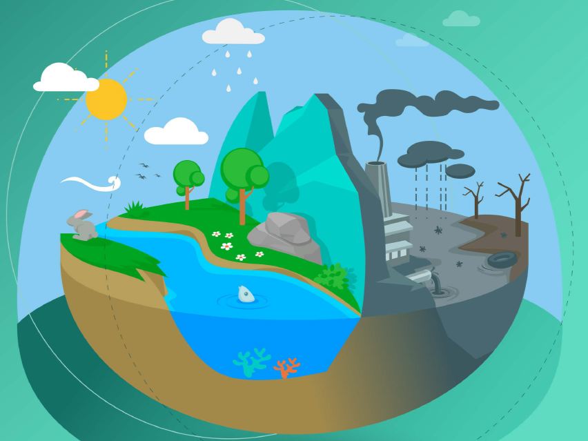 Turning Crisis into Opportunity for Hungarian Industry: Circularity and Bioeconomy