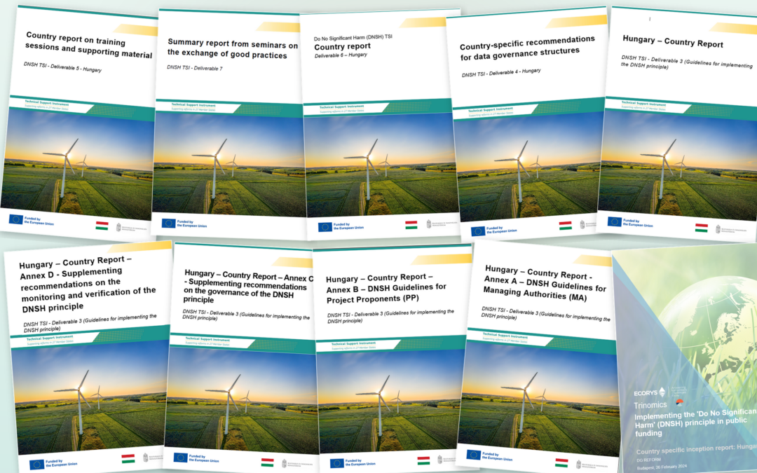 How can the DNSH principle contribute to more sustainable use of public funds?