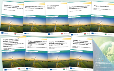 How can the DNSH principle contribute to more sustainable use of public funds?
